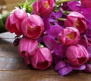 Thiết kế website bán hoa