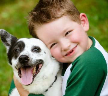 Thiết kế website bán thú cưng