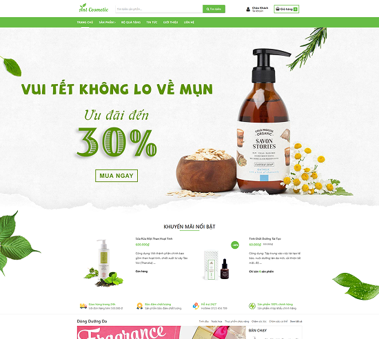 Sapo Web