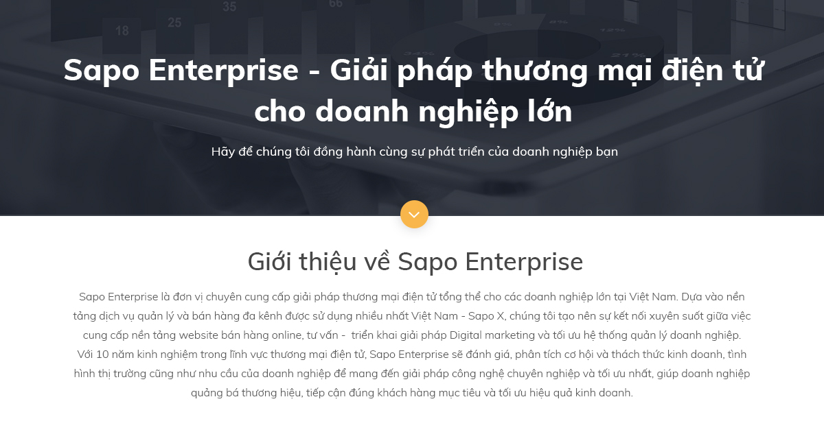 Giới thiệu về Sapo Enterprise