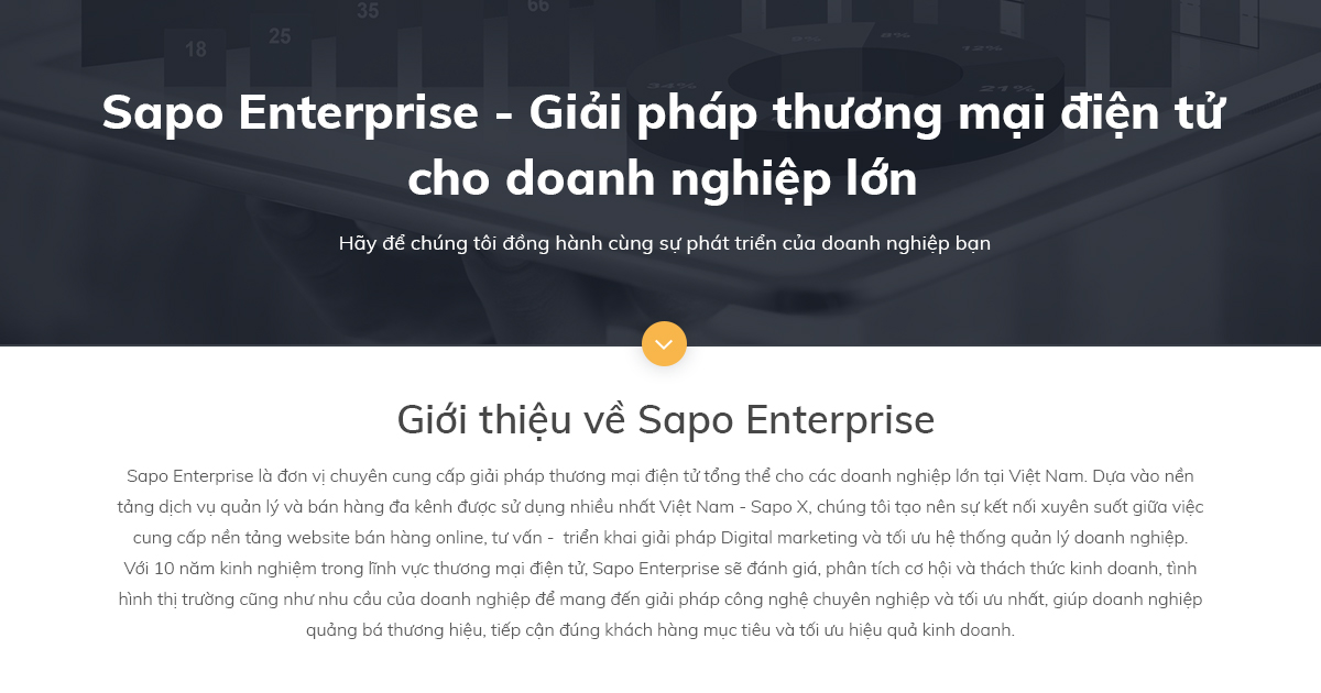 Giới thiệu về Sapo Enterprise