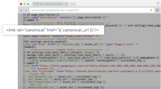 Thẻ Canonical có sẵn trong code