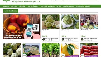 Lạng Sơn kết nối chợ truyền thống với thương mại điện tử