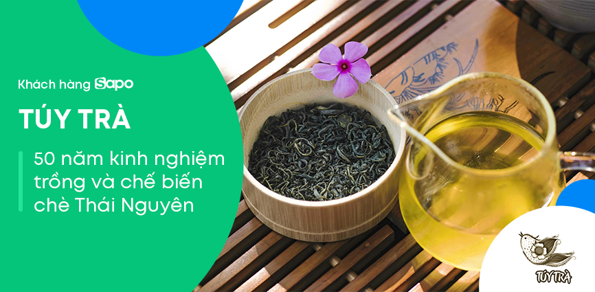 Túy Trà - 50 năm kinh nghiệm trồng và chế biến chè Thái Nguyên