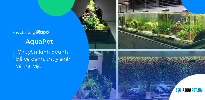 AquaPet - Chuyên kinh doanh bể cá cảnh, thủy sinh và trại vẹt