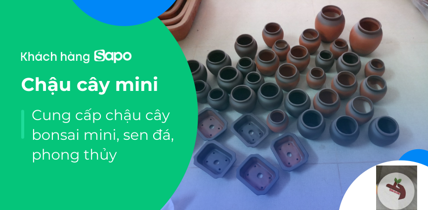 Chậu cây mini - Cung cấp chậu cây bonsai mini, sen đá, phong thủy