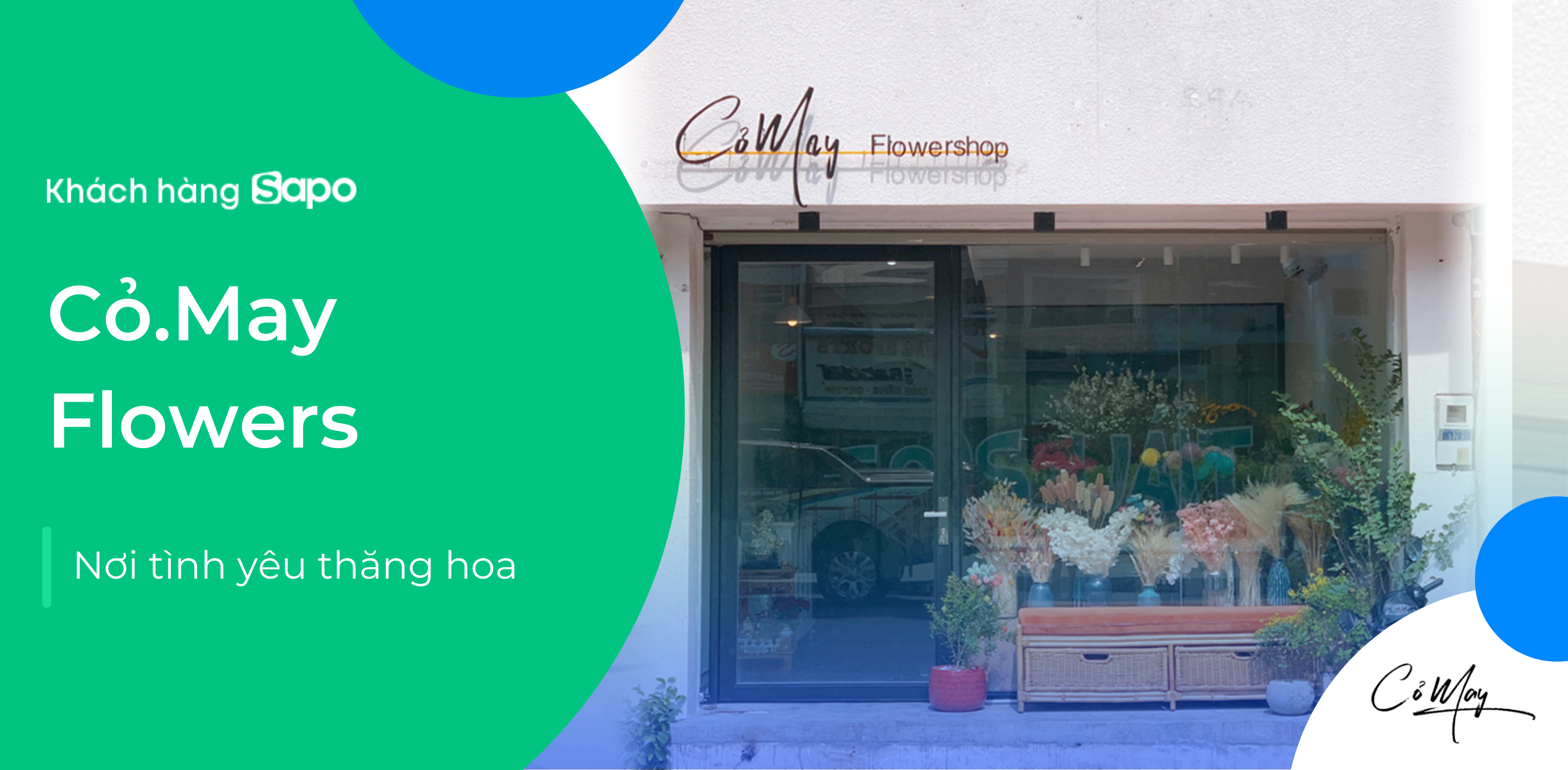 Cỏ May Flowers - Món quà tình yêu lãng mạn 