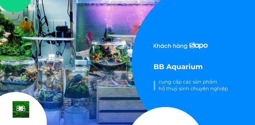 BB Aquarium - Cung cấp các sản phẩm hồ thủy sinh chuyên nghiệp 