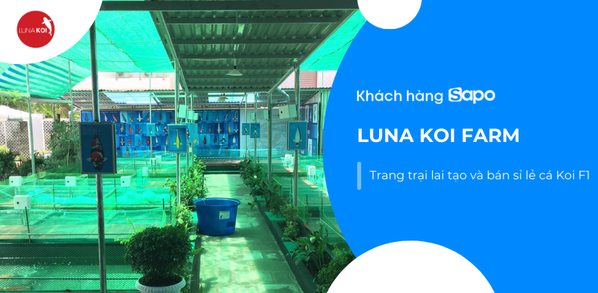 Luna Koi Farm - Trang trại lai tạo và bán sỉ lẻ cá chép Koi F1