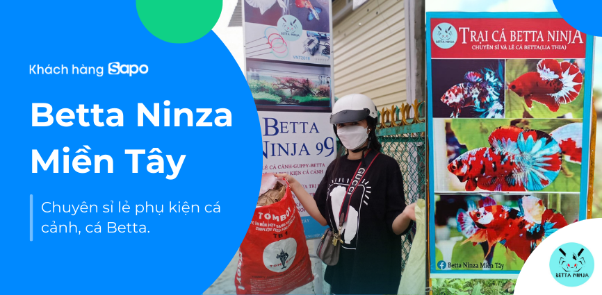 Betta Ninza Miền Tây - Chuyên sỉ lẻ phụ kiện cá cảnh