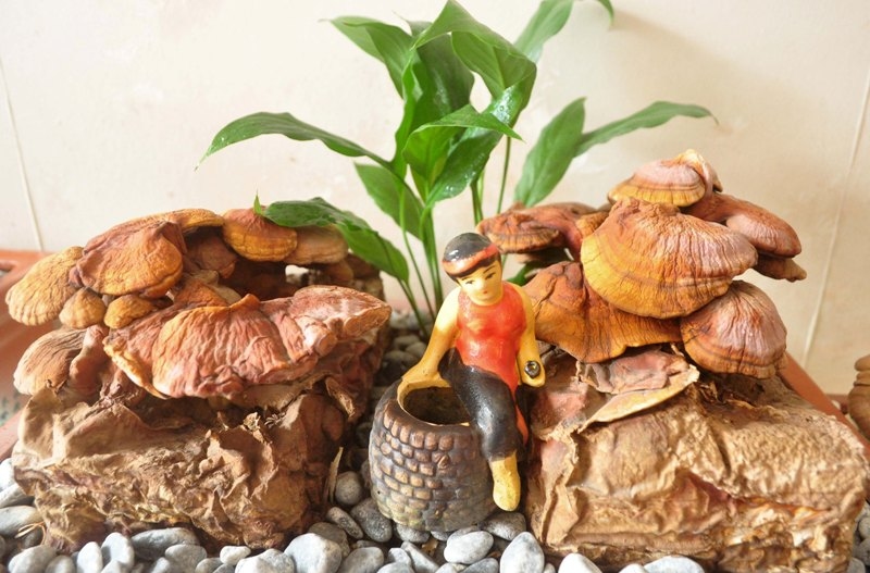 Mở cửa hàng mẹ và bé bạn cần biết những gì?