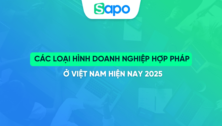 Các loại hình doanh nghiệp hợp pháp ở Việt Nam hiện nay 2025