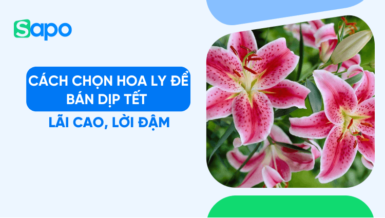 Cách chọn hoa ly để bán dịp Tết 2026 lãi cao, lời đậm
