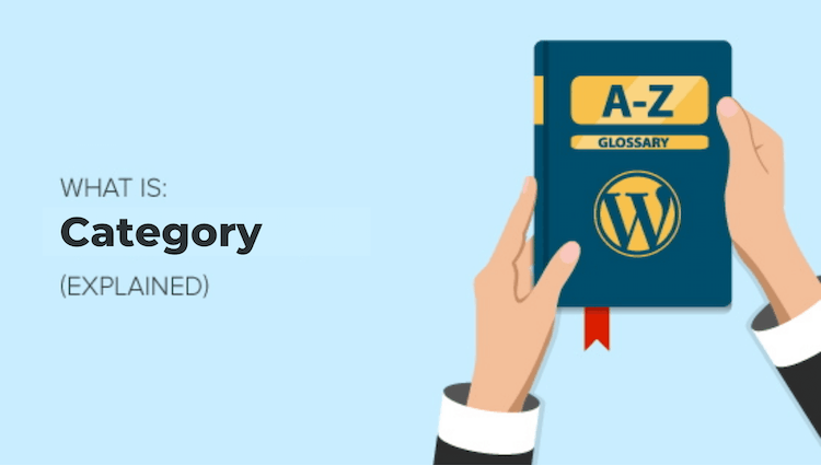 Category là gì? Cách tạo mới category trên website