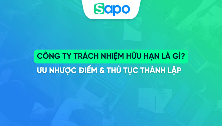Công ty trách nhiệm hữu hạn là gì? Ưu nhược điểm & Thủ tục thành lập