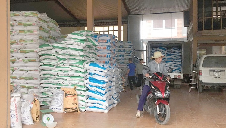 Mở đại lý thức ăn chăn nuôi - Những điều chủ kinh doanh cần lưu ý