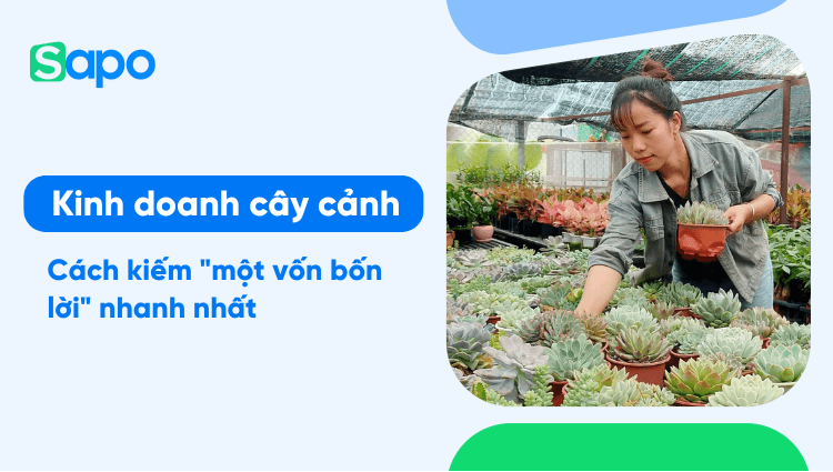 Kinh doanh cây cảnh: Cách kiếm "một vốn bốn lời" nhanh nhất