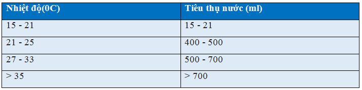 Kỹ thuật nuôi gà đẻ trứng nhiều - Mô hình làm giàu hiệu quả ở nông thôn