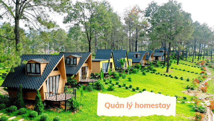 Cách quản lý homestay hiệu quả có thể bạn chưa biết?