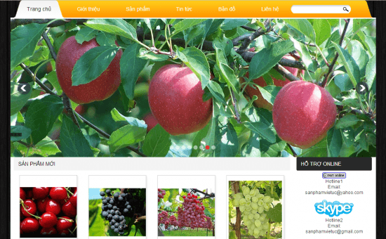 Thiết kế web Đắk Nông – Giải pháp đầu ra cho sản phẩm nông nghiệp