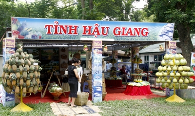 Mở rộng thị trường cho nông sản với giải pháp thiết kế web Hậu Giang