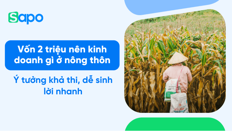 Vốn 2 triệu nên kinh doanh gì ở nông thôn? 10 ý tưởng khả thi nhất 2025