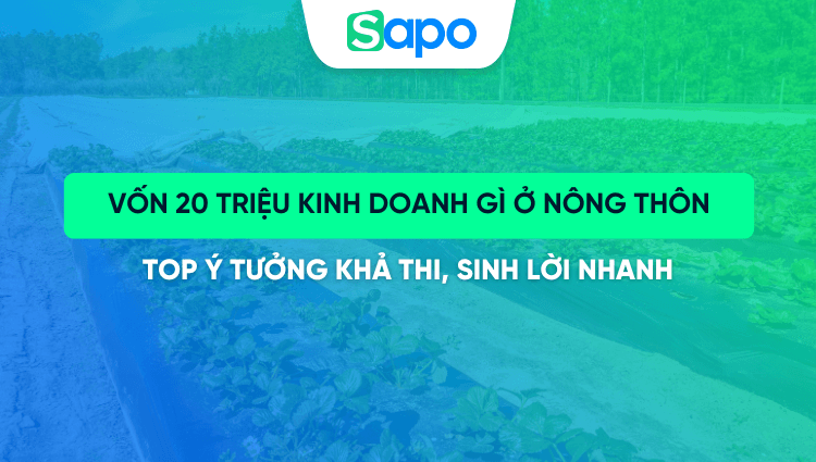 Vốn 20 triệu kinh doanh gì ở nông thôn? TOP ý tưởng khả thi, sinh lời nhanh