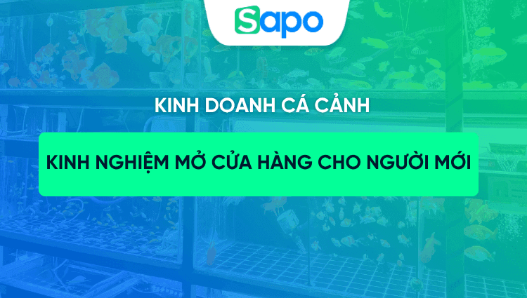 Kinh doanh cá cảnh: Kinh nghiệm mở cửa hàng cho người mới