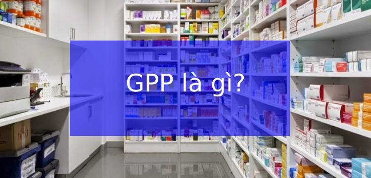 GPP là gì? Những tiêu chí đánh giá nhà thuốc đạt chuẩn GPP