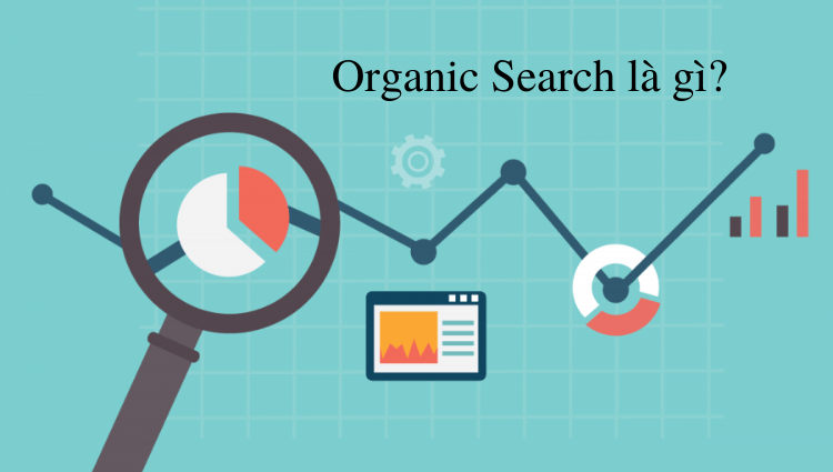 Organic search là gì? Cách tăng chỉ số organic search cho website